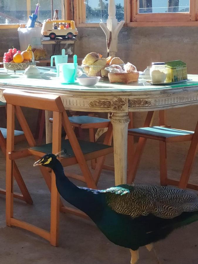 Finca La Pasionaria - Conectandonos Villa Belen de Escobar Bagian luar foto